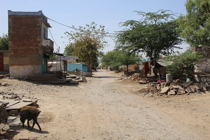 A dusty lane between buildings and trees, Budhpura, Rajasthan.